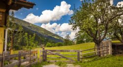 GASTEINER BERGAPPARTEMENT | SALZBURG