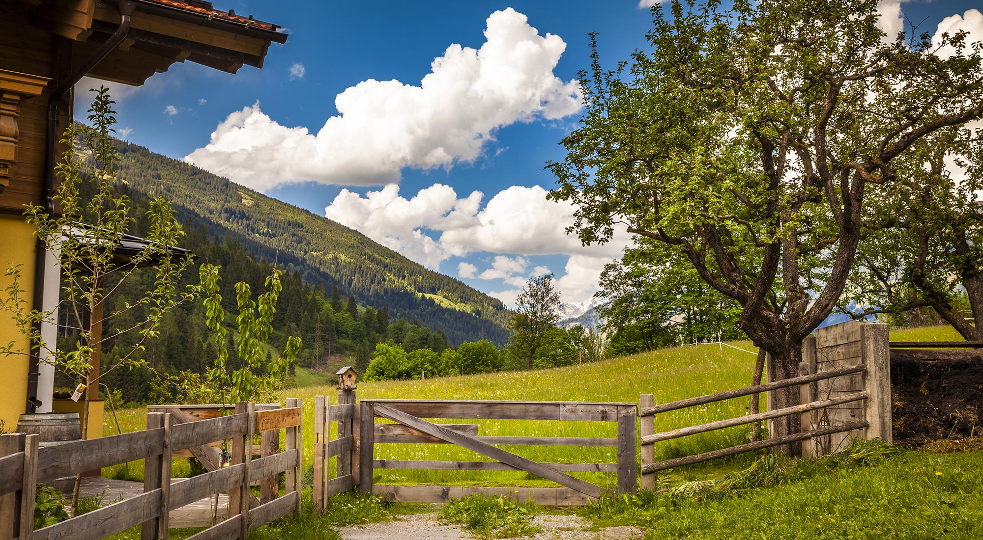 GASTEINER BERGAPPARTEMENT | SALZBURG