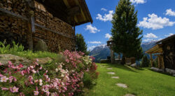 GILFERTHÜTTE | TUXER ALPEN | TIROL